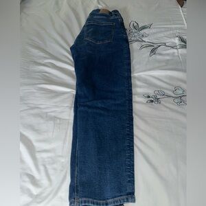 American Eagle Outfitters Dark Blue mom  Jeans 2 short